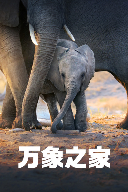 永珍之家(2024)海報