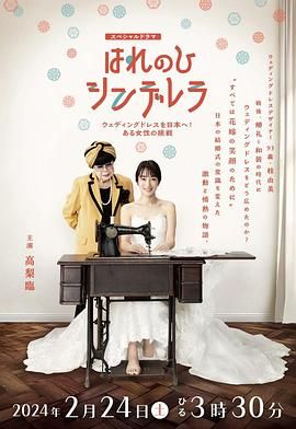晴天灰姑娘 把婚纱带到日本!一位女性的挑战(2024)海报