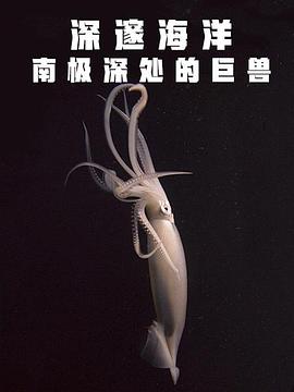 深邃海洋南极深处的巨兽(2018)海报