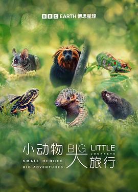 小動物大旅行第一季(2023)海報