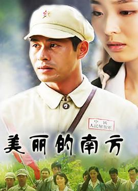 美丽的南方(2008)海报