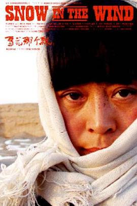 雪花那个飘2006(2006)海报