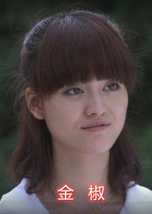 金椒(2011)海报