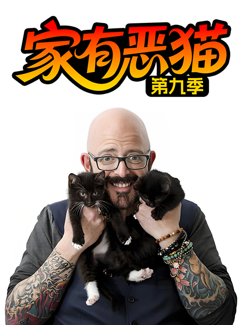 家有恶猫第九季(2011)海报