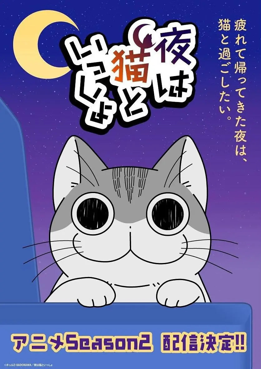 關於養貓我一直是新手 第二季(2022)海報