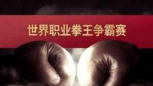 世界職業拳王爭霸賽(2024)海報