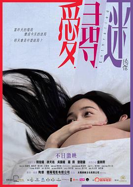 愛尋迷粵語(2014)海報