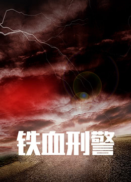 鐵血刑警(2010)海報