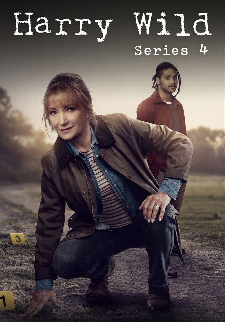 野探哈莉 第五季(2022)海报