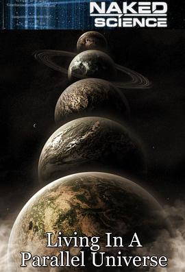 生存在平行宇宙(2013)海报