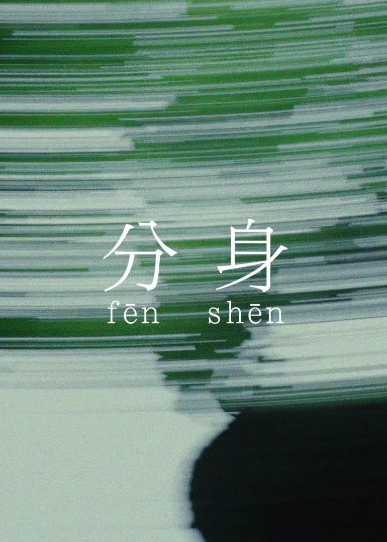 分身第一季(2001)海报