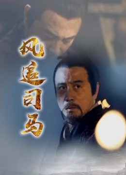 风追司马(2012)海报