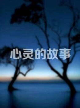 心灵的故事(2012)海报