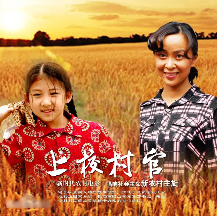 上校村官(2012)海报