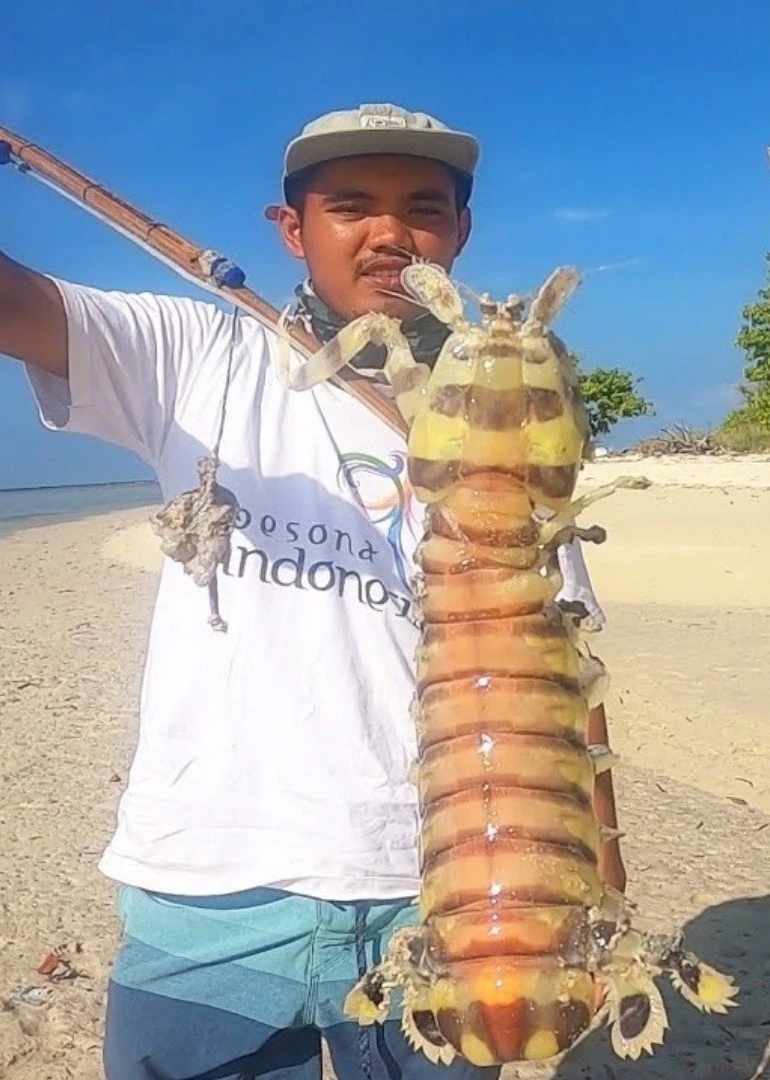 国外赶海抓皮皮虾,泥滩红树林抓青蟹,出海捕捞鱼群海报