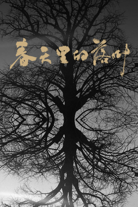 春天里的落叶(2019)海报