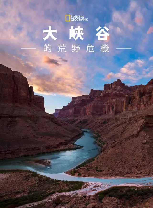 大峡谷的荒野危机(2019)海报