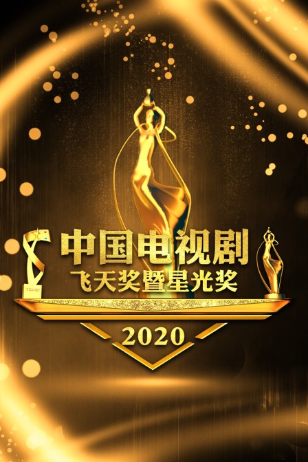 中国电视剧飞天奖暨星光奖2020(2020)海报