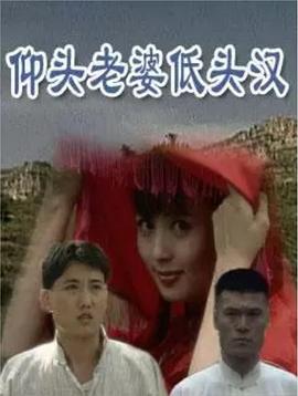 仰头老婆低头汉(2000)海报