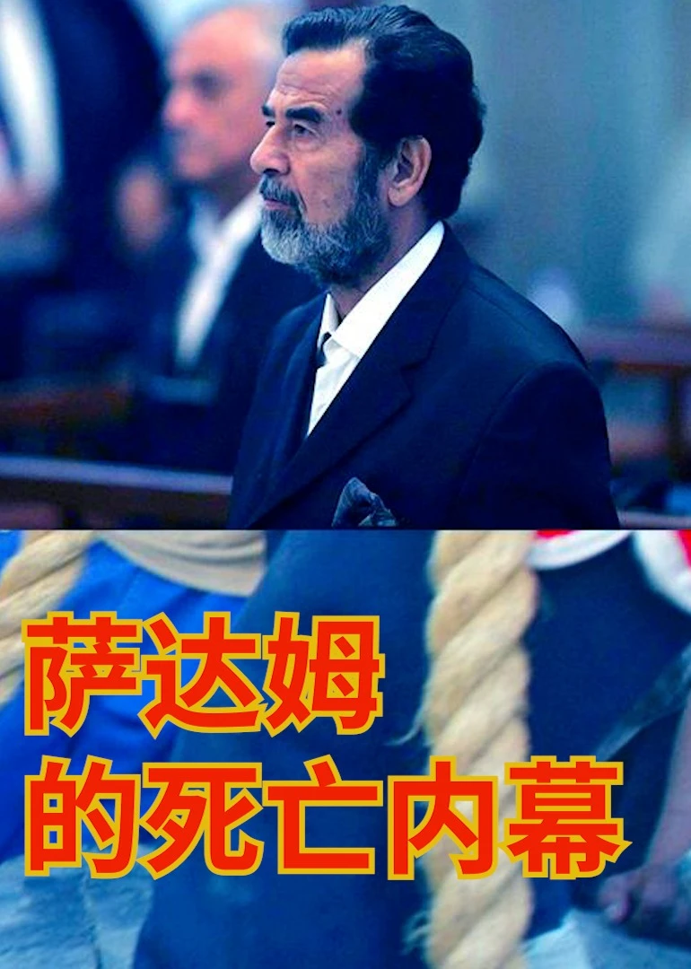 萨达姆的死亡内幕海报