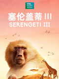 塞倫蓋蒂第三季(2017)海報