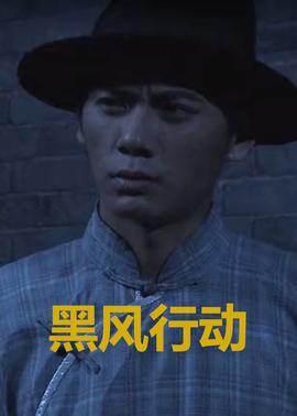 黑風行動(2011)海報
