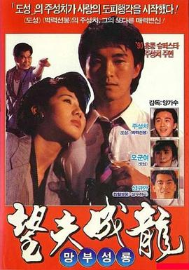 望夫成龙粤语(1990)海报