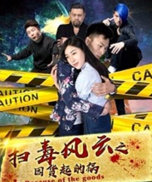 扫毒风云之因货起的祸(2017)海报