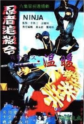 忍者追殺令(1992)海報