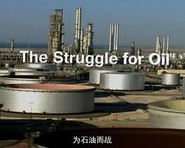 为石油而战(2011)海报