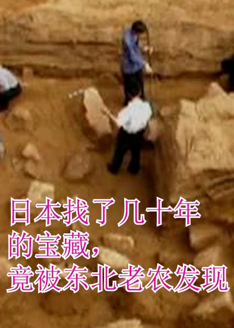 日本找了幾十年的寶藏沒找到海報