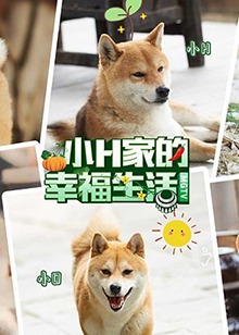 小H一家(2019)海報
