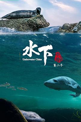 水下中国第二季(2024)海报