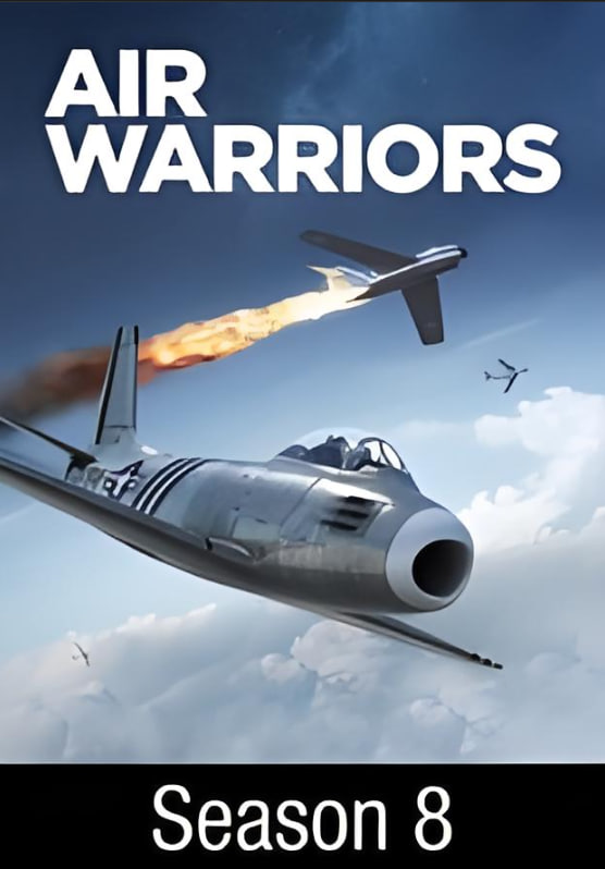 戰機:空中勇士 第八季(2014)海報