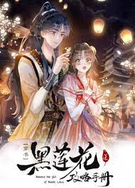 黑蓮花攻略手冊第二季(2024)海報