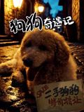 狗狗奇遇記(2025)海報