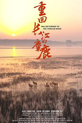 重回長江的麋鹿(2020)海報