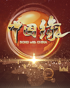 我的中国缘(2021)海报