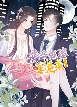 逆袭归来:我的废柴老婆 第三季(2022)海报
