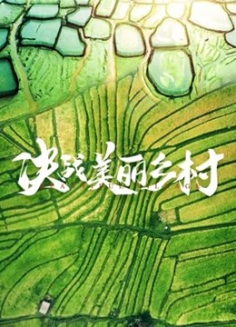 决战美丽乡村(2020)海报