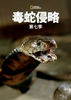毒蛇侵略第七季(2014)海报