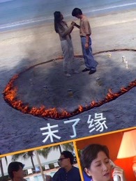 末了緣(1995)海報