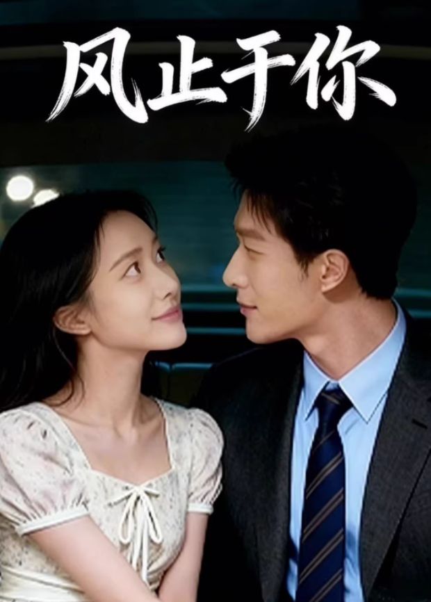 風止於你(AI短劇)(2026)海報