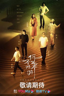 何不秉烛游(2023)海报