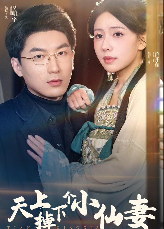天上掉下个小仙妻海报