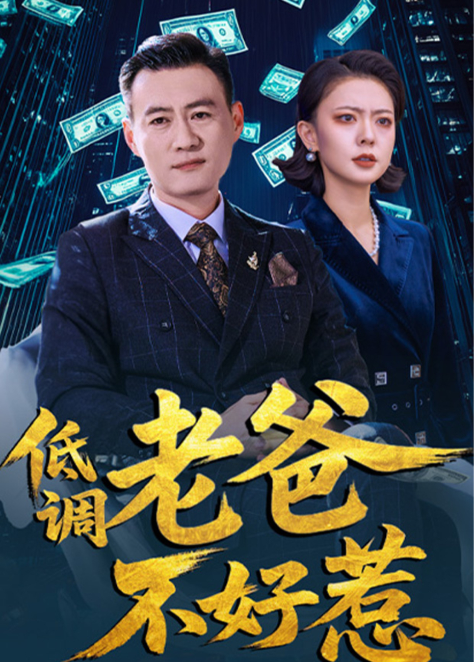低调老爸不好惹海报