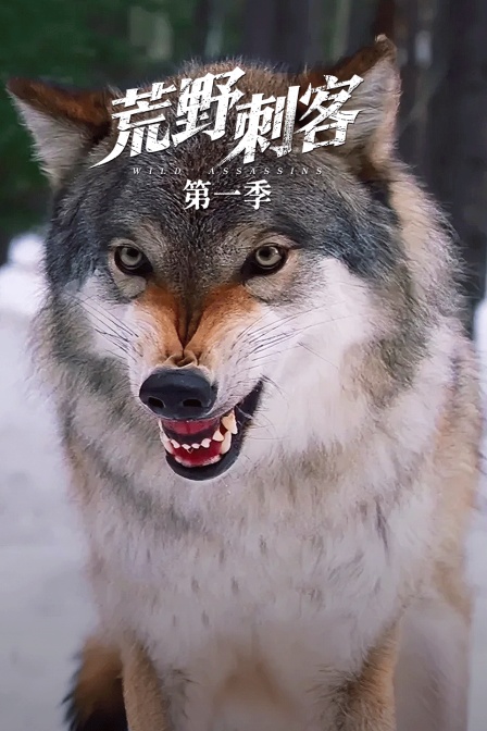 荒野刺客第一季(2025)海報