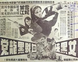 女黑侠血战黑龙党粤语(1966)海报