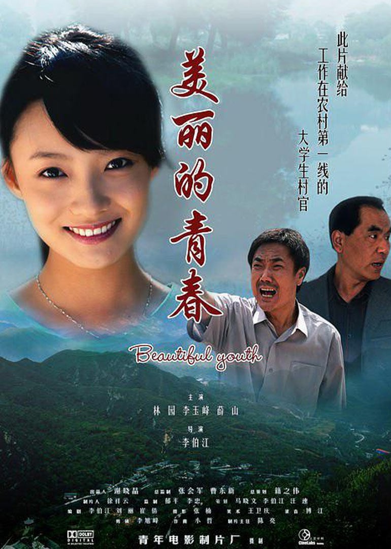 美麗的青春(2010)海報