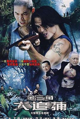 大追捕2008(2008)海報